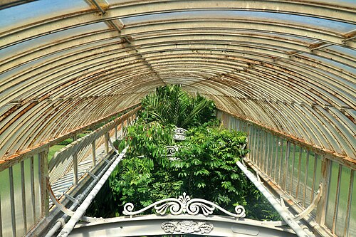 Palm House, Kew, London — Inside Palm House