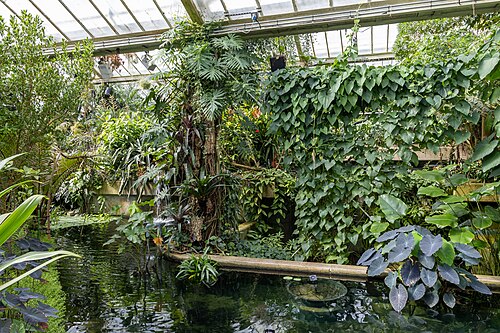 Princess of Wales Conservatory, Kew Gardens, Kew, London (Richmond upon Thames) — Princess of Wales Conservatory, Kew Gardens — Ansicht 3