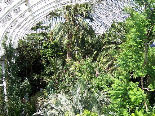 Temperate House, Kew, London — Kew Garden Temperate House