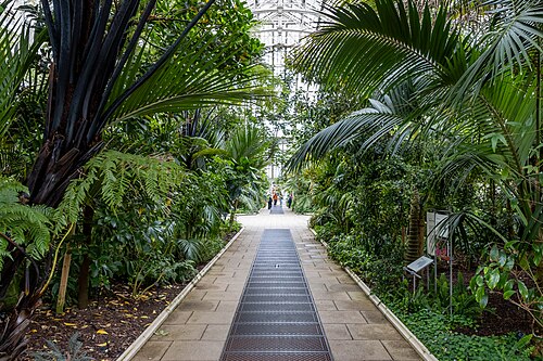 Temperate House, Kew, London — Interior of Kew Gardens Temperate House