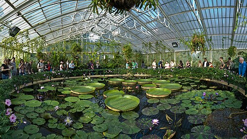 Waterlily House, Kew Gardens, Kew, London (Richmond upon Thames) — A wide panoramic view of the Waterlily House in Kew Gardens, London, England. Taken by…