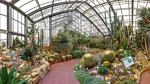Schaugewächshäuser des Botanischen Gartens der Universität Kiel, Kiel, Schleswig-Holstein — Das Schaugewächshaus "Aridhaus Amerika" ist den Pflanzen aus den Trockenregionen Nord…