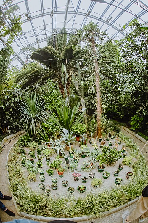 N・A・アヴローリン名称極地・高山植物園研究所の温室群, キロフスク、ムルマンスク州 — N・A・アヴローリン名称極地・高山植物園研究所の温室群 — 1枚目