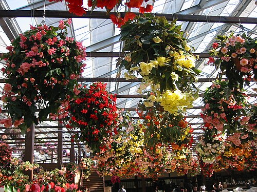 Glashaus Inside Park, Kobe Animal Kingdom (神戸どうぶつ王国), Port Island, Kobe, Präfektur Hyōgo — Glashaus Inside Park, Kobe Animal Kingdom — Ansicht 1