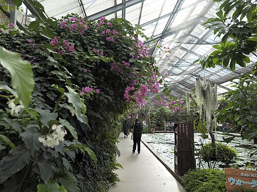 Glashaus Inside Park, Kobe Animal Kingdom (神戸どうぶつ王国), Port Island, Kobe, Präfektur Hyōgo — au royaume des animaux de Kobe situé à Port Island