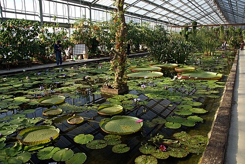 Glashaus Inside Park, Kobe Animal Kingdom (神戸どうぶつ王国), Port Island, Kobe, Präfektur Hyōgo — English: Kobe Kachoen (Kobe Flowers and Birds Garden) in Kobe, Hyogo prefecture, Japan
