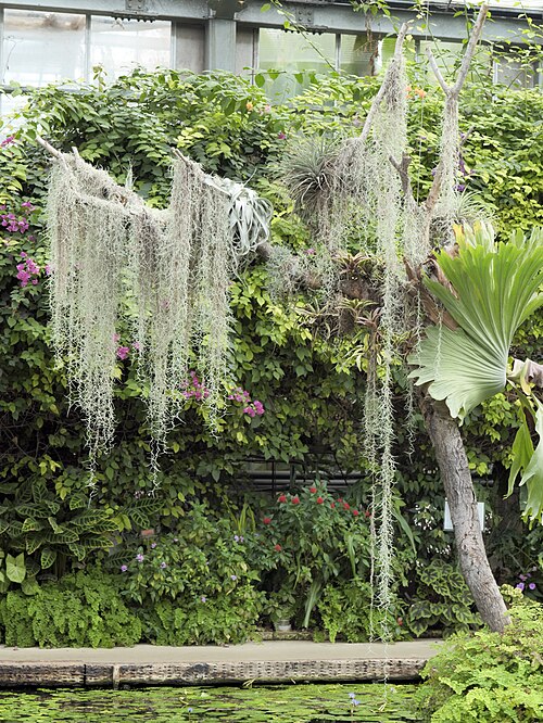 Glashaus Inside Park, Kobe Animal Kingdom (神戸どうぶつ王国), Port Island, Kobe, Präfektur Hyōgo — Glashaus Inside Park, Kobe Animal Kingdom — Ansicht 6