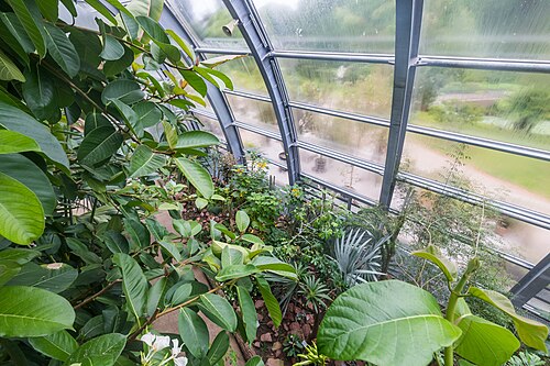 Schaugewächshäuser der Flora und des Botanischen Gartens Köln, Köln, Nordrhein-Westfalen — Schaugewächshäuser der Flora und des Botanischen Gartens Köln — Ansicht 3