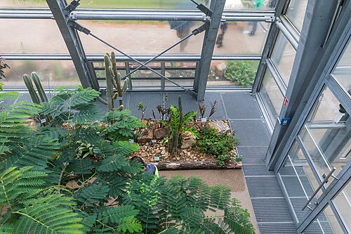 Schaugewächshäuser der Flora und des Botanischen Gartens Köln, Köln, Nordrhein-Westfalen — Schaugewächshäuser der Flora und des Botanischen Gartens Köln — Ansicht 4