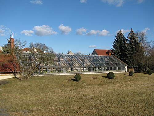 ケーニヒスブリュック城のツバキ温室（Königsbrücker Kamelien）, ザクセン州ケーニヒスブリュック — Camellias in Königsbrück, Saxony,