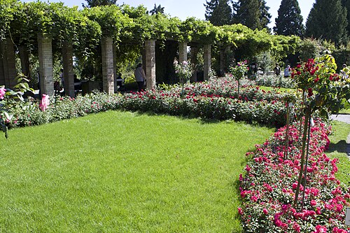 Palmenhaus (Palm House), Mainau Island, Mainau Island, Konstanz, Baden-Württemberg — Mainau island in Lake Constance , Germany