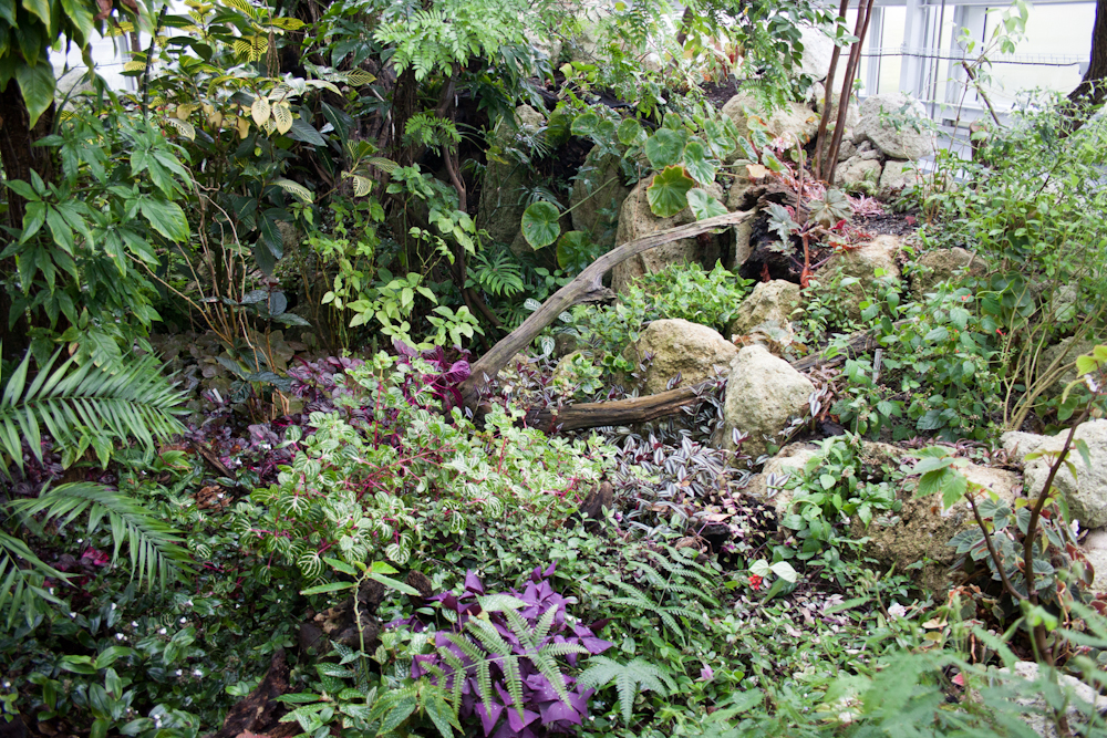 Gewächshäuser des Botanischen Gartens der Pavol-Jozef-Šafárik-Universität (UPJŠ), Košice, Region Košice — Gewächshäuser des Botanischen Gartens der Pavol-Jozef-Šafárik-Universität — Ansicht 2