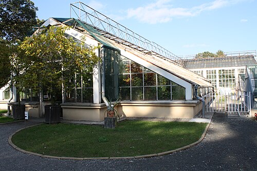 Gewächshäuser des Botanischen Gartens der Jagiellonen-Universität (Warszewicz-Orangerie), Krakau, Kleinpolen — Kraków , ul. Kopernika 27 - Ogród Botaniczny Uniwersytetu Jagiellońskiego (szklarnie)