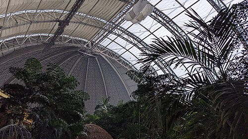 Regenwaldhalle der Tropical Islands (ehemalige CargoLifter-Luftschiffhalle), Krausnick-Groß Wasserburg, Brandenburg — Tropical Islands Palm Trees