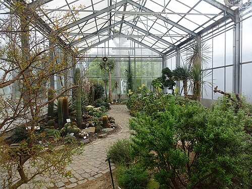 Schaugewächshaus des Botanischen Gartens Krefeld, Krefeld (Oppum), Nordrhein-Westfalen — Botanical garden in Krefeld , Germany.