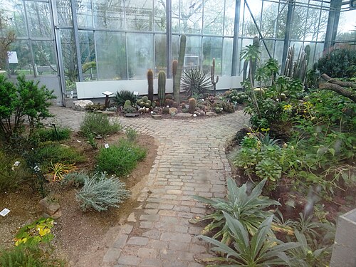 Schaugewächshaus des Botanischen Gartens Krefeld, Krefeld (Oppum), Nordrhein-Westfalen — Schaugewächshaus des Botanischen Gartens Krefeld — Ansicht 4