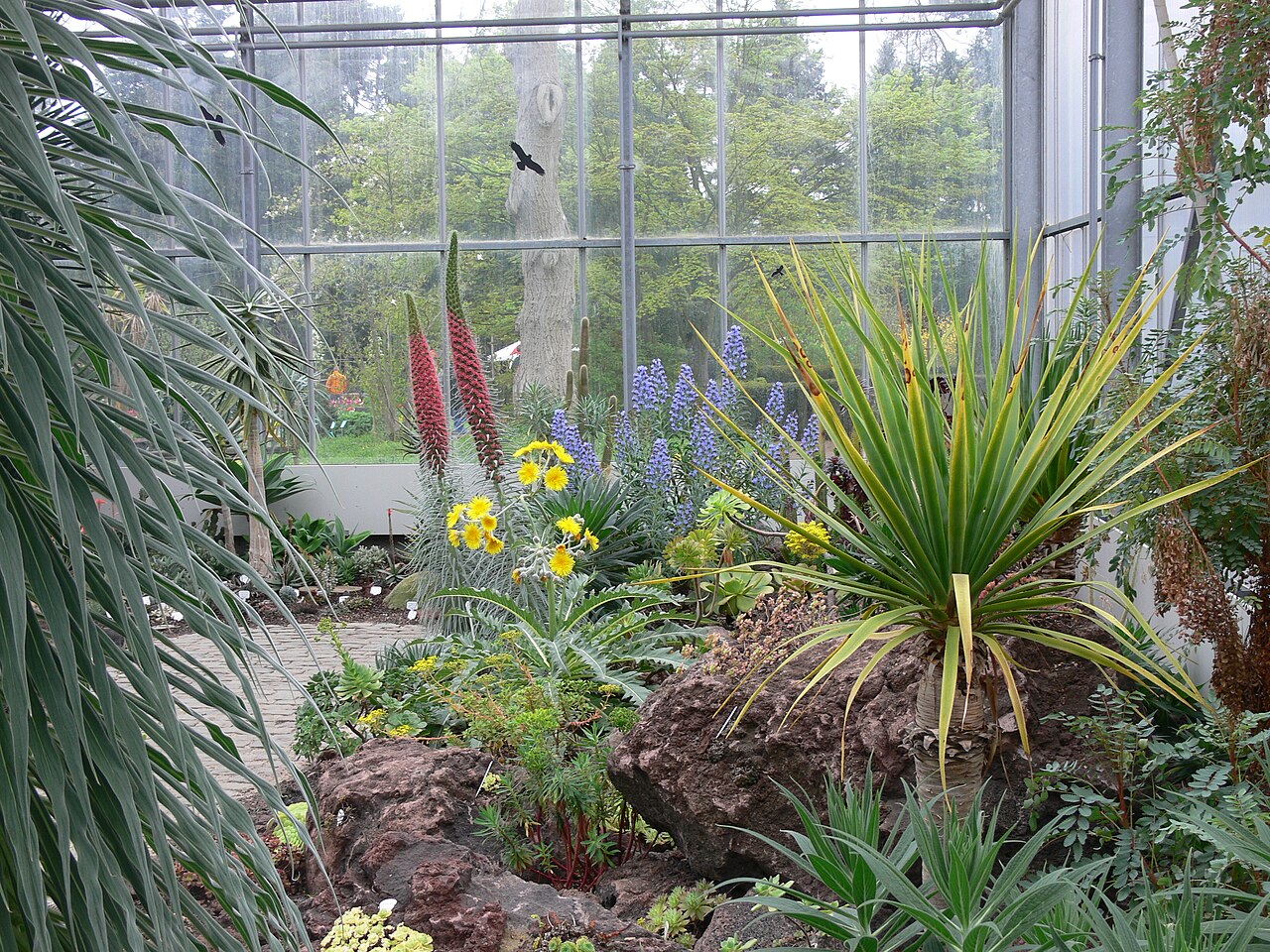 Schaugewächshaus des Botanischen Gartens Krefeld, Krefeld (Oppum), Nordrhein-Westfalen — Schaugewächshaus des Botanischen Gartens Krefeld — Ansicht 5