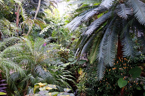 Krohn Conservatory, Cincinnati, Ohio — Krohn Conservatory, Eden Park, Cincinnati, Ohio, USA.