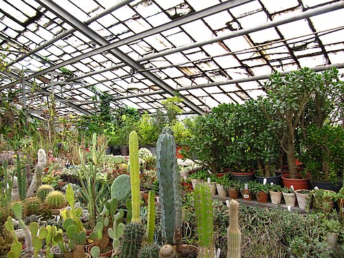 ウクライナ国立科学アカデミー クルィヴィーイ・リーフ植物園のオランジェリー(Orangereia KBS), クルィヴィーイ・リーフ、ドニプロペトロウシク州 — ウクライナ国立科学アカデミー クルィヴィーイ・リーフ植物園のオランジェリー(Orangereia KBS) — 1枚目