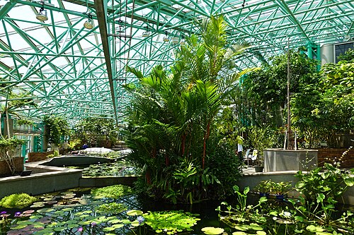 Atriumgewächshaus der Lotus Hall, Mizunomori Water Botanical Garden (草津市立水生植物公園みずの森 ロータス館), Kusatsu, Präfektur Shiga — Atriumgewächshaus der Lotus Hall, Mizunomori Water Botanical Garden — Ansicht 2