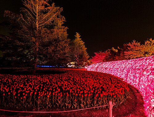 Begonia Garden, Nabana no Sato (なばなの里 ベゴニアガーデン), Nagashima, Kuwana, Mie Prefecture — Nabana no Sato (Winter Illumination), Kuwana, Mie, Japan, なばなの里, 三重, 三重県