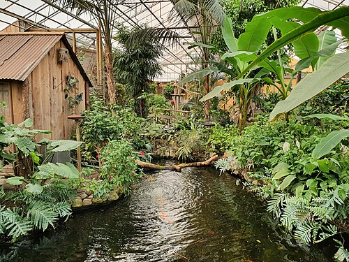 Berkenhof Tropical Zoo (Gewächshäuser des Schmetterlingsgartens), Kwadendamme (Langeweegje), Zeeland — Berkenhof 's Tropical Zoo & Vlindertuin (dierentuin in Nederland)