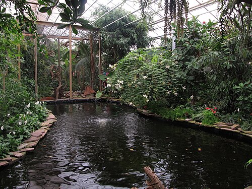 Berkenhof Tropical Zoo (Gewächshäuser des Schmetterlingsgartens), Kwadendamme (Langeweegje), Zeeland — Berkenhof 's Tropical Zoo