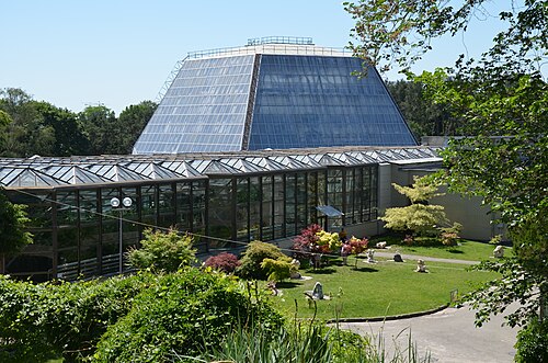 Orangeriekomplex und Glaskuppel des Nationalen Botanischen Gartens Hryshko, Kiew (Petschersk) — Orangeriekomplex und Glaskuppel des Nationalen Botanischen Gartens Hryshko — Ansicht 1