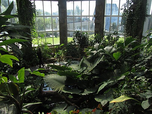 Orangeriekomplex und Glaskuppel des Nationalen Botanischen Gartens Hryshko, Kiew (Petschersk) — Orangeriekomplex und Glaskuppel des Nationalen Botanischen Gartens Hryshko — Ansicht 3