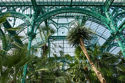 Königliche Gewächshäuser von Laeken, Brüssel — Architecture intérieure des serres royales de Laeken (Belgique), 2018.