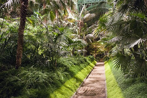 Königliche Gewächshäuser von Laeken, Brüssel — Royal Greenhouses in Laeken