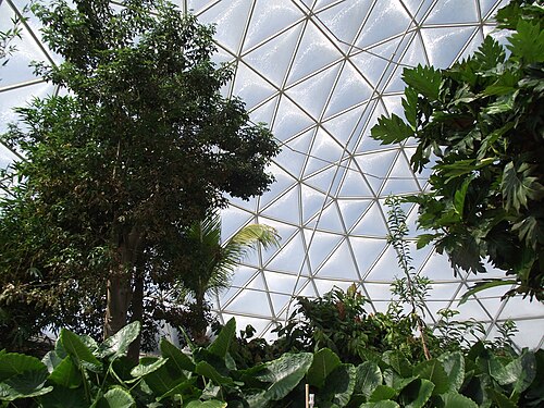 Gewächshäuser von The Land (Living with the Land), EPCOT, EPCOT, Lake Buena Vista, Florida — Serre de The Land