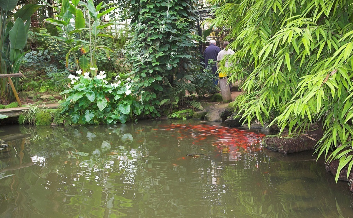 熱帯の楽園(Tropisch Paradijs)、モンド・ヴェルデ公園の熱帯館, ランハーフ(リンブルフ州) — The Tropen of Mondo Verde.