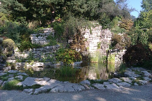 Serre tropicale du Jardin botanique cantonal de Lausanne, Lausanne, canton de Vaud — In the Jardin Botanique Cantonal Lausanne .