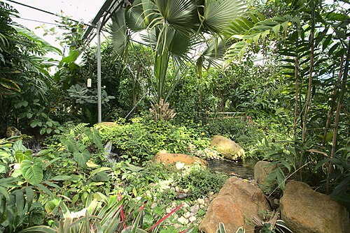 ジャルダン・シュスパンデュ（吊り庭園、サント＝アドレス要塞）のコレクション温室, ル・アーヴル、ノルマンディー — ジャルダン・シュスパンデュ（吊り庭園、サント＝アドレス要塞）のコレクション温室 — 4枚目