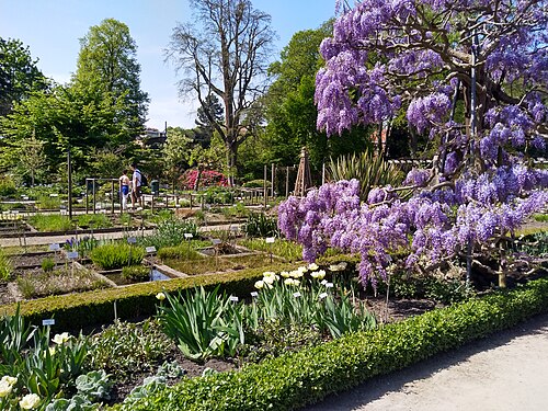 Orangery and glasshouses of the Kruidtuin (Botanic Garden), Leuven, Leuven, Flemish Brabant — Kruidtuin Leuven