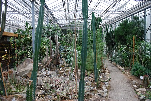 Observatoire du Monde des Plantes (serres du jardin botanique de l'Université de Liège, Sart-Tilman), Sart-Tilman, Liège, Wallonie — Observatoire du Monde des Plantes — vue 2