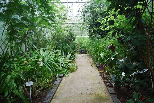 Observatoire du Monde des Plantes (serres du jardin botanique de l'Université de Liège, Sart-Tilman), Sart-Tilman, Liège, Wallonie — Observatoire du Monde des Plantes — vue 3