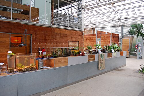Observatoire du Monde des Plantes (serres du jardin botanique de l'Université de Liège, Sart-Tilman), Sart-Tilman, Liège, Wallonie — Observatoire du Monde des Plantes — vue 4