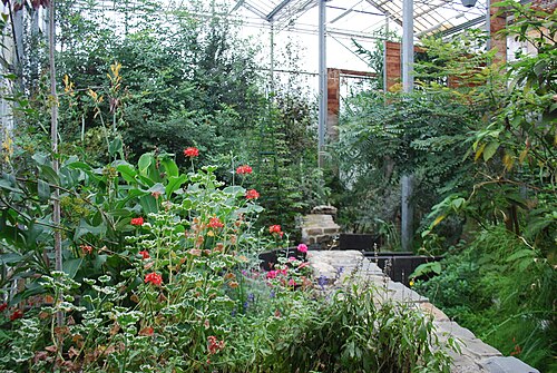 Observatoire du Monde des Plantes (serres du jardin botanique de l'Université de Liège, Sart-Tilman), Sart-Tilman, Liège, Wallonie — Observatoire du Monde des Plantes — vue 5