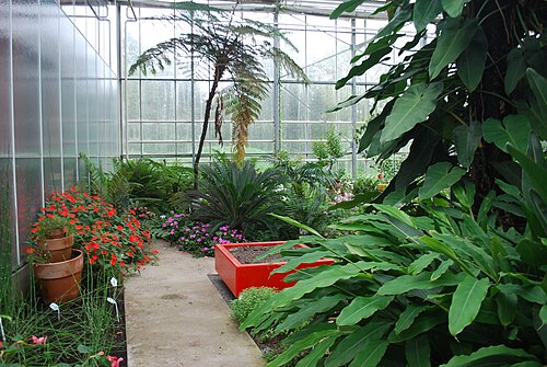Observatoire du Monde des Plantes (serres du jardin botanique de l'Université de Liège, Sart-Tilman), Sart-Tilman, Liège, Wallonie — Observatoire du Monde des Plantes — vue 6
