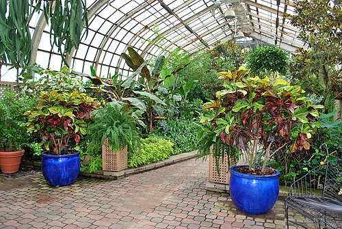 Lincoln Park Conservatory, Chicago, Illinois — Lincoln Park Conservatory 08.2014