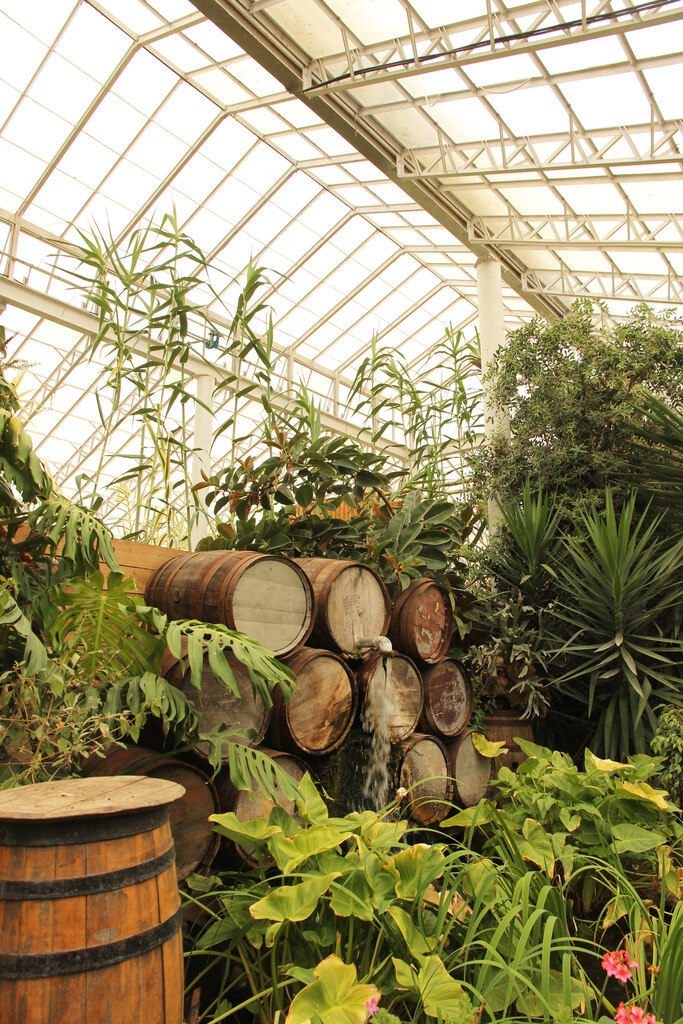 Endeavour Tropical House (ehemaliges Sir Joseph Banks Conservatory), Lincoln Zoo, Newball, bei Langworth, Lincoln (Lincolnshire) — Endeavour tropical house
