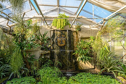 リンツ植物園の温室群（リンツ市植物園）, リンツ、オーバーエスターライヒ — Botanischer Garten Linz, Ausstellungshaus Kalthaus
