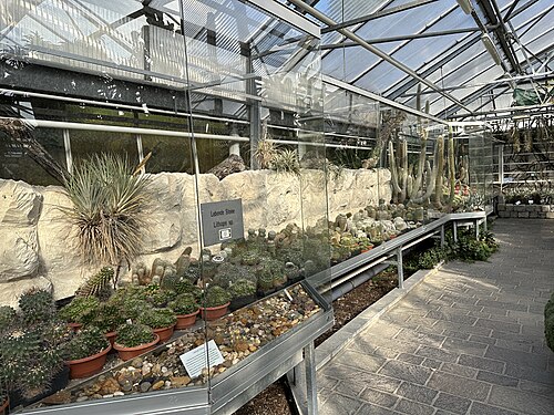 リンツ植物園の温室群（リンツ市植物園）, リンツ、オーバーエスターライヒ — リンツ植物園の温室群（リンツ市植物園） — 4枚目