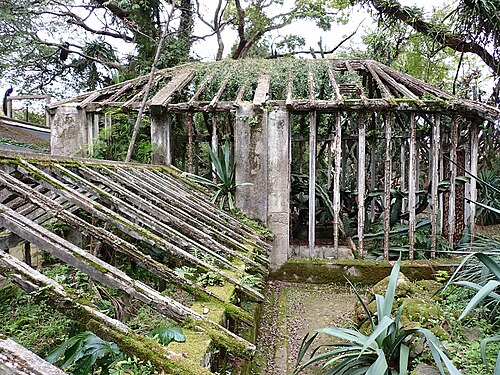 Main Glasshouse of the Tropical Botanical Garden (Estufa Principal, Jardim Botânico Tropical), Lisbon (Belém) — Jardim Botânico Tropical in Lisbon