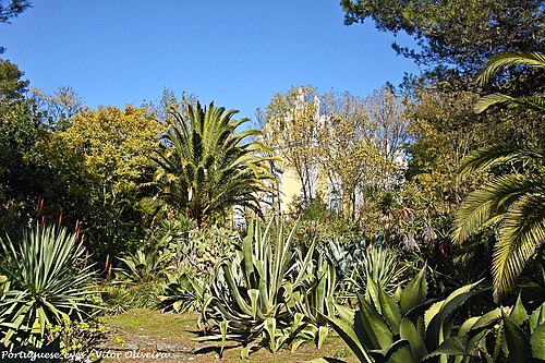 Estufa circular de la Tapada das Necessidades, Lisbonne — photo 5