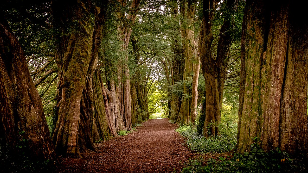 Vinerie de Paxton (jardins du château de Lismore), Lismore, comté de Waterford — photo 5