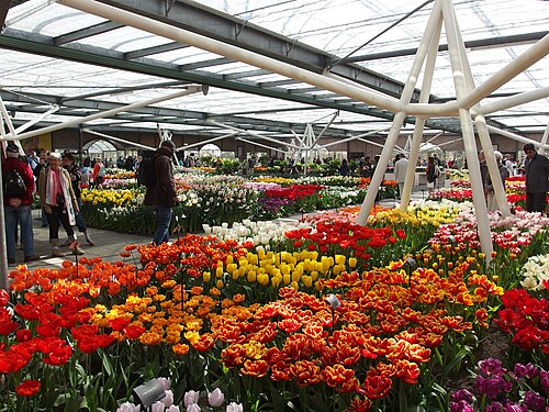 ウィレム＝アレクサンダー・パビリオン（キューケンホフ）, 南ホラント州リッセ — Flower show @ Willem-Alexander Pavilion @ Keukenhof