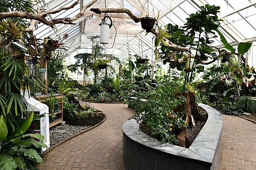 Tropenhaus, National Botanic Garden of Wales, Llanarthne, Carmarthenshire (Wales) — National Botanical Garden of Wales: The Tropical House 4